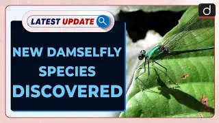 New Damselfly Species Discovered | Latest update | Drishti IAS English