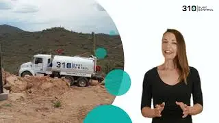 Water Delivery Services | 5 Star Review | 310 Dust Control