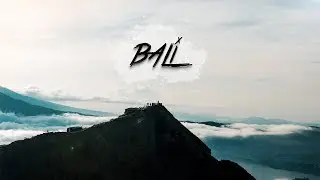 THE PEACOCK BROTHERS x BALI
