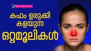 കഫം ഉരുക്കി കളയാൻ ഒറ്റമൂലി.!! | Ethnic Health Court