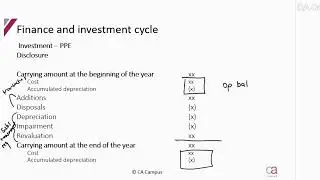 Substantive procedures - Part 6: Finance & Investment cycle