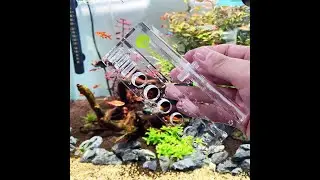 AquaPro Acrylic Planted Aquarium Tool Holder Available @ PetzLifeworld