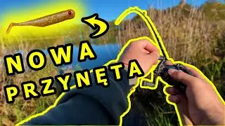 GREAT FISH GF1. SPRAWDZAM PRZYNĘTĘ na moich wodach. Nie tylko OKONIE pukały :)