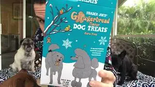Fun Size Review: Trader Joe's Gingerbread Dog Treats
