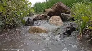 ASMR, the sound of water flowing in a very calm small river, is perfect to accompany your sleep
