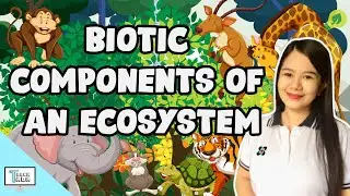 Biotic Components of an Ecosystem | Biology