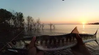 UltraLight casting barracuda part 10