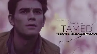 Can't Be Tamed | Multifandom [HBD Jenna]