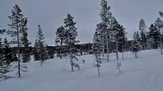 Snowshoeing alone in forest #Norway #arctic #snow #winter #north #polarnight #snowshoes 