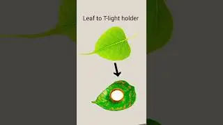 Leaf to T-light holder #ytshorts #shorts #short