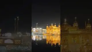Shri Harmandir Sahib ji 🙏 Goldentemple Amritsar Punjab India #waheguru #viral #goldentemple #shorts