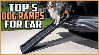 Top 5 Best Dog Ramps for Car reviews