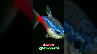 8Parche ...#punjabisong #newsong #song #haryanvisong #trending #trendingshorts#reels @S.K.indian7864