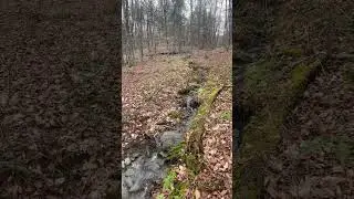 Finger Lakes Trail # 3 Abbotts Loop Water Fall