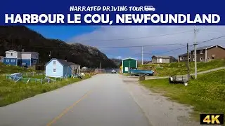 🚗 Harbour Le Cou, Newfoundland & Labrador 🌊🇨🇦 4K Drive