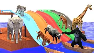 Wild Animals Choose The Right Slide! Funny Animal Games: Lion, Buffalo, Gorilla, Giraffe, Gazelles