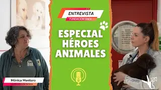 Entrevista Fundación ONCE del Perro Guía - PARTE 2