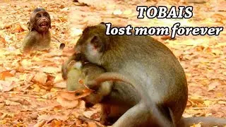 SADNESS NEWS !! Toma loss forever not know reason | Pity Baby Tobais cry call mom help.