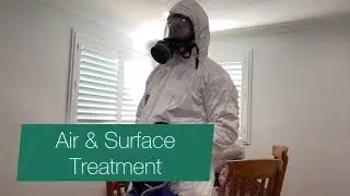Mould Cleaning Australia   Mould Remediation Process