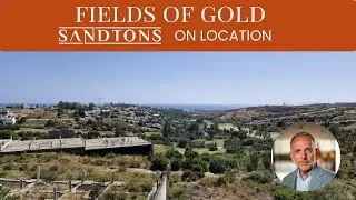 Fields of Gold: Your Future&nbsp;Estepona homes