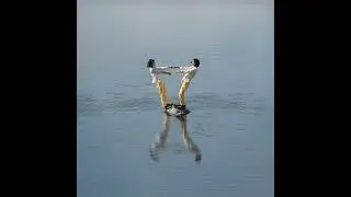 Steady Holiday - The Balance