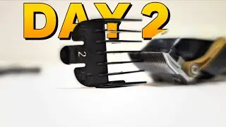 The ONLY Clipper Guard Video You'll Ever Need! (MUST WATCH)!!