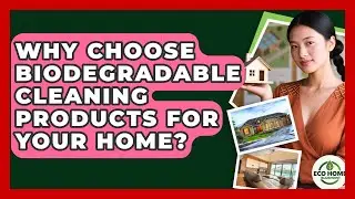 Why Choose Biodegradable Cleaning Products For Your Home? - Eco Home Blueprint