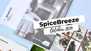 SpiceBreeze Review October 2019: Spice Subscription Box