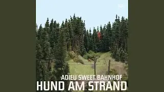Erkl&auml;r mir die Welt