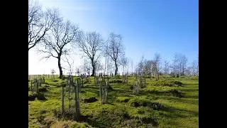 Craufurdland Woods - Natural woodland Burial Ground.