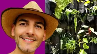 COMO HACER UN JARDIN VERTICAL | Jardín Vertical fácil  | jardines verticales | jardin pared facil