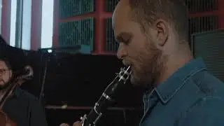 Alexander Zemlinsky & Walter Rabl: Trios and Quartets