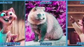 Zootopia Characters vs. Real Life Animals | Part 2 Comparison