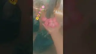 12 de enero de 2026