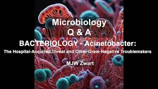 Microbiology Q&A Bacteriology - Acinetobacter: The Hospital-Acquired Threat & Other Troublemakers