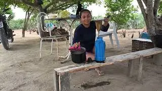FIZEMOS LIMPEZA NO SÍTIO E CAFÉ DA TARDE COM MACAXEIRA LÁ NA ROÇA 