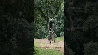 Best MTB Bike in India | Cradiac Alpha Pro | 21 Speed Gear Cycle | Bicyclekart