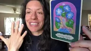 Herb Oracle Episode 104: Technology Offers Your Future NOTHING
