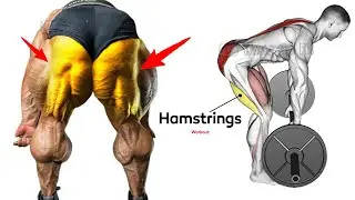 6 Best Hamstring Exercises | Effective Workout
