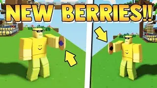 how to get BLACKBERRIES and BLUEBERRIES!! | islands ROBLOX