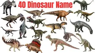 40 Dinosaur Names for Kids | Fun Facts & Easy Learning