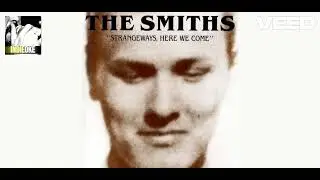 The Smiths - Paint a Vulgar Picture [karaoke]