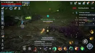 Mir4 Global 220K Warrior play