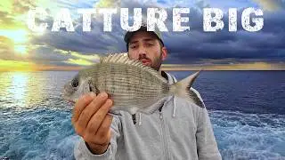 PESCA A FONDO dalla SCOGLIERA🎣 Big SARAGO e pesce TRANCIATO dal SERRA! Adrenalina pura in diretta!