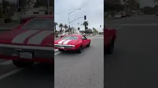 1970 Chevelle -  @qruisinpch Main St., DTHB