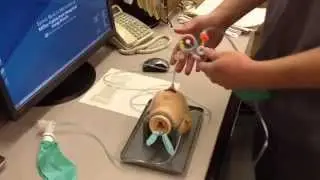 Flow Inflating Bag