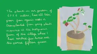 French Permaculture Garden - 'Thursday's harvest in Alsace' 2020 - Johanna Tagada Hoffbeck - 프랑스 정원