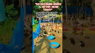 &ldquo;Duck Farm Se ₹60k Profit 🤯 Sirf 40 Days!&rdquo;#viralshorts #youtubeshorts #ytshorts #duck #farming