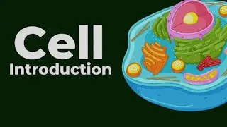 The Cell || Structure and Function of cell || B pharmacy 1st sem || HR pharmacy classes 