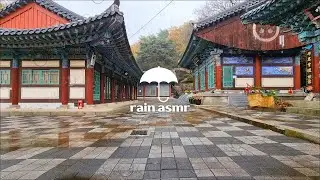 ASMR Rain(비 내리는 사찰 빗소리 힐링)(Heals the sound of rain in a rainy temple)